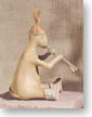 Donkeypelli